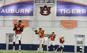 Image result for Deep Auburn 2013 200