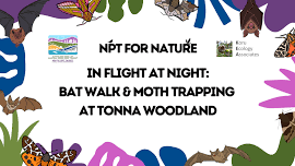 In Flight at Night: Bat Walk & Moth Trapping at Tonna Woodland