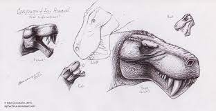 I Arranged A Trade With A My Friend On The Theme Creatures From The Tv Series Primeval I Drew Some Portraits Of Gorgonopsid W Creature Art Art Visual Art