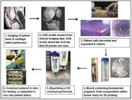 At level 30 construction, he will give a lecture about the skill granting 4,500 construction experience per bone, equivalent to 34,650 coins worth. 3d Bioactive Composite Scaffolds For Bone Tissue Engineering Sciencedirect