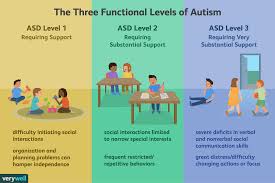 making sense of the 3 levels of autism