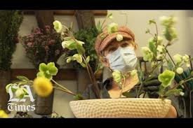 Maybe you would like to learn more about one of these? Coronavirus Shutdown Ends For L A Flower Shops Los Angeles Times