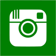 Green circle just crushed a special demolition project for us with a tight timeline. Green Instagram 2 Icon Free Green Social Icons