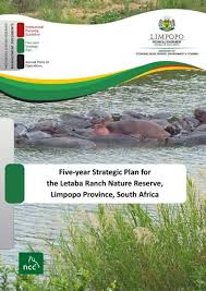 Image result for Melhania forbesii