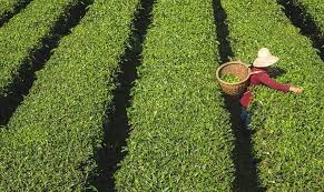 We work as a third party partner to make your renovation project easier and more efficient. How Fairtrade Works