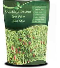 Image result for Aeschynomene bullockii