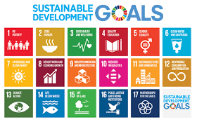 We enable people to make a positive impact and difference in the world with gis. The Eu And The United Nations Common Goals For A Sustainable Future European Commission