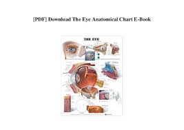 Pdf Download The Eye Anatomical Chart E Book