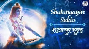 Making a wish upon a shooting star is a common belief. Shatangayur Sukta The Wish Fulfilling Mantra Make Your Any Wish Come True Lord Shiva Mantra Youtube