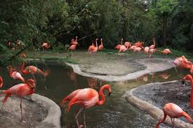Check spelling or type a new query. Zoo Picture Of Riverbanks Zoo And Botanical Garden Columbia Tripadvisor