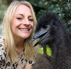 Carnival cruise online check-in not working?