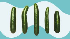 Penis: 20 Different Types, Shapes, and Things to Know