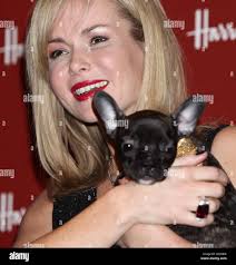 Amanda sales hi-res stock photography and images