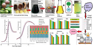 Effect Of Diethyl Ether And Ethanol As An Oxygenated Additive On Calophyllum Inophyllum Biodiesel In Ci Engine Springerlink