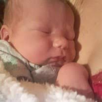 Jasper Chase Whitehead Obituary (2021)