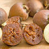 Medlars were at one time a very popular winter fruit in england. Https Encrypted Tbn0 Gstatic Com Images Q Tbn And9gctgllxy2csqghahhv Xybgravsvqmgbthgj6szoobe6wrfptkf Usqp Cau
