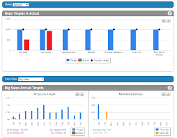 How To Set Reps Monthly And Annual Targets Pepperi Support