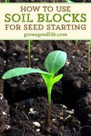 Pin On Vegetable Gardening