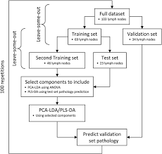 Flow Chart Illustrating The Division Of Data Into Subsets