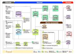 flowchart of climate risk interconnections related to the