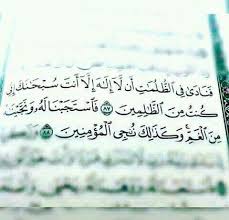 Desertrose لا إله إلا أنت سبحانك إني كنت من الظالمين Quran Quotes Best Quotes Quotes