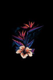 1920x1200 wallpapers dark wallpaper 4k full hd iphone android wallpaper &mediumspace; Hd Background Black Wallpaper
