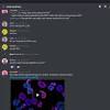 How to download and install reddit on your pc and mac. Https Encrypted Tbn0 Gstatic Com Images Q Tbn And9gcrvbefzkn0yu4o8de721ydcrgbxcuoca30zao6 Nvxjiwae6pxd Usqp Cau