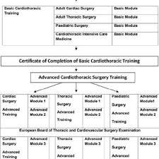What defines the role of a surgeon? Pdf A European Training System In Cardiothoracic Surgery Is It Time