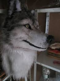 Wolf Kopf Maske Wolf Fursuit Wolf Fursuit Fursuit Wolf