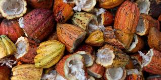 Les Bienfaits Du Beurre De Cacao Pour Les Levres Carmex