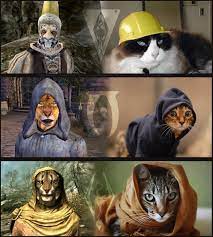 Image 690452 Khajiit Khajiit Has Wares Know Your Meme