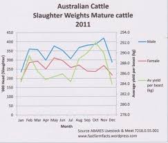 Australian Cattle Dog Weight Chart