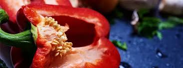 Image result for Bridelia scleroneura