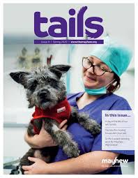 See us for quality advanced pet care today. Tails Spring 2020 By Mayhewanimalhome Issuu