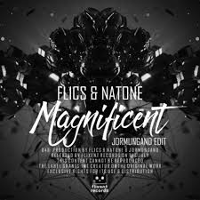 Download FL1CS album songs: Magnificent (Jormungand Edit) | Boomplay Music