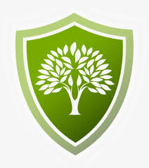 Keep reading for design best practices and expert tips. Safety Tree Safe Icon Transparent Png 1024x1024 Free Download On Nicepng