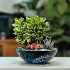 Para çiçeği haberleri ve son gelişmeleri anbean bu sayfa üzerinden takip edebilirsiniz. Para Cicegi