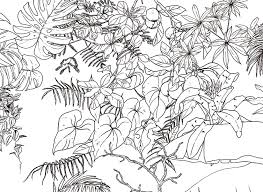 Papier peint panoramique jungle 03 pour la décoration des chambres d'enfant. Papier Peint Original Decor Mural En Edition Limitee Ohmywall Papier Peint Jungle Tropical Noir Et Blanc Big Panoramique Par Caddous