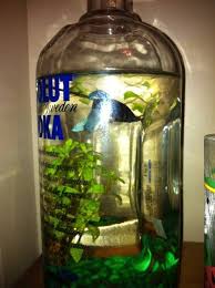 Pin By Deborah Mcneal On Fish Tanks Betta Fish Tank Fish Tank Diy Fish Tank