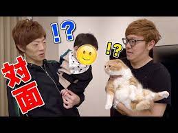 1歳児向け youtube 手遊び ヒカキン セイキン