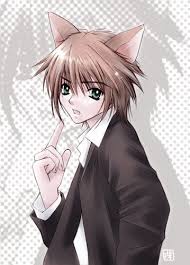 Anime Animal Guys Photo Neko Boy Anime Neko Anime Neko Boy