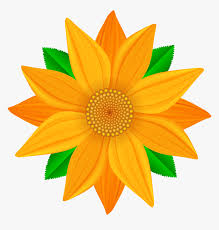Brighten up any room in your home or business with this stunning collection of flower photographs. Transparent Clip Art Image Png Flower Png Download Kindpng