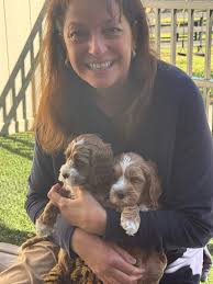 Meet the puppies and their parents