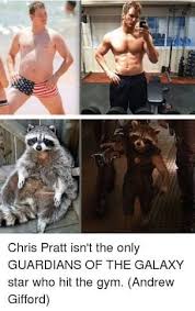 Chris pratt is great and he's taken to instagram again to brighten all of our normal ordinary lives and drop some inspiration on us. Mouse Rat Chris Pratt Memes Facebook