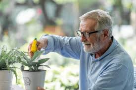 Check spelling or type a new query. Plantes Comment Les Arroser Lorsque L On Est Absent