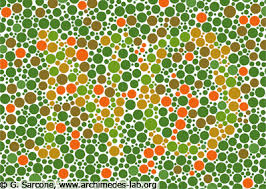 Color Blindness Tests And Facts
