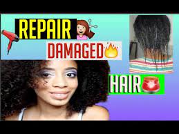 Best treatment for hair breakage the roots naturelle hair fertilizer treatment is a product i use regularly. Repair Very Damaged Hair Youtube