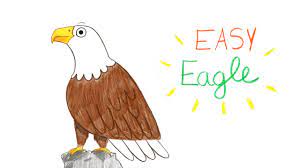 More images for how to draw an eagle easy for kids » How To Draw A Bald Eagle Easy Way Comment Dessiner Facilement Un Aigle Youtube
