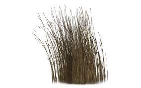 Dry Vegetation 03 By Wolverine041269 On Deviantart Vegetation Photoshop Resources Plants
