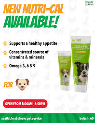 It is ideal for puppies who are finicky, who are off food or require an additional source of energy. Shrek S Pet Service Home Facebook